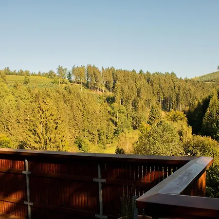 Tannenhaeuschen Sauerland