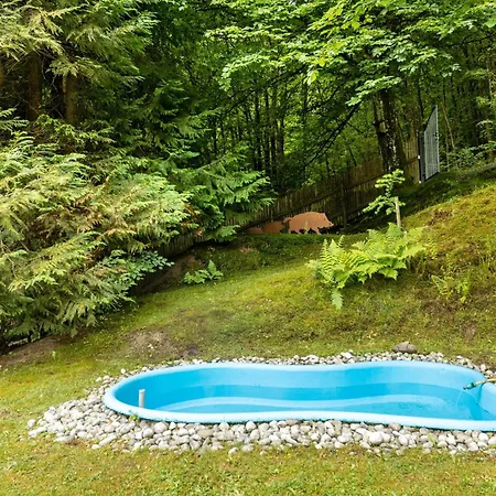 펜션 Tannenhaeuschen Sauerland