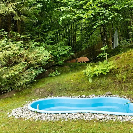 Tannenhäuschen Sauerland Ferienhaus