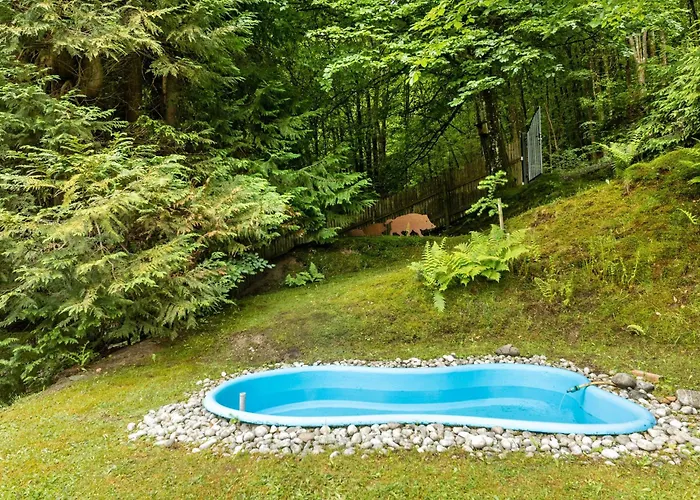 Ferienhaus Tannenhäuschen Sauerland